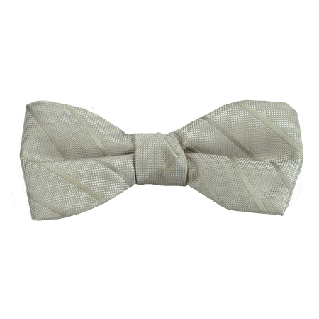 Picture of Modern Solid Biscotti Bow Tie