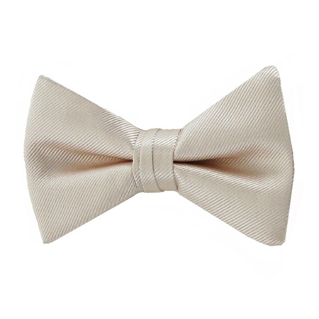 Picture of Simply Solid Petal Bow Tie