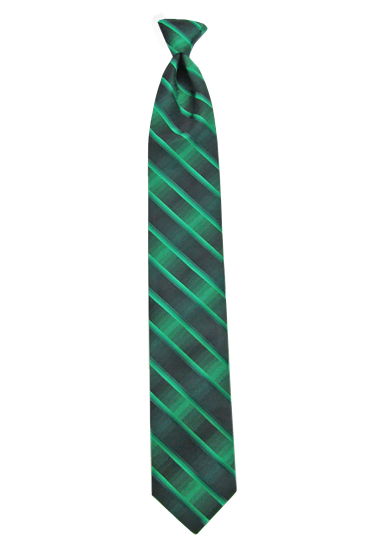 Picture of Double Ombre Emerald Windsor Tie
