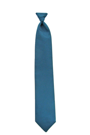 Picture of Simply Solid Peacock Windsor Tie