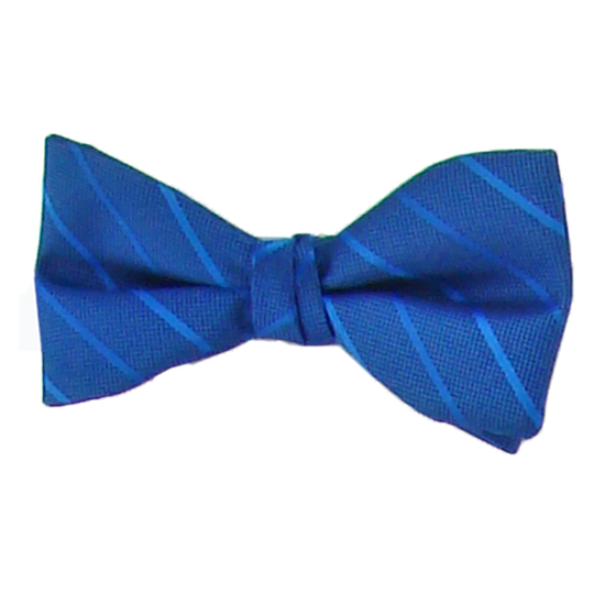 Picture of Modern Solid Royal Blue Bow Tie