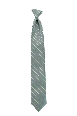 Picture of Modern Solid Platinum Windsor Tie