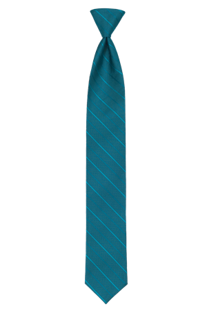 Picture of Modern Solid Oasis Windsor Tie