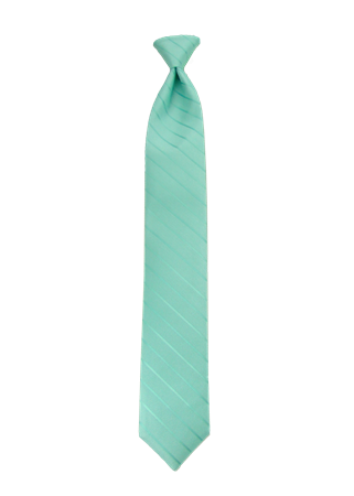 Picture of Modern Solid Mint Windsor Tie