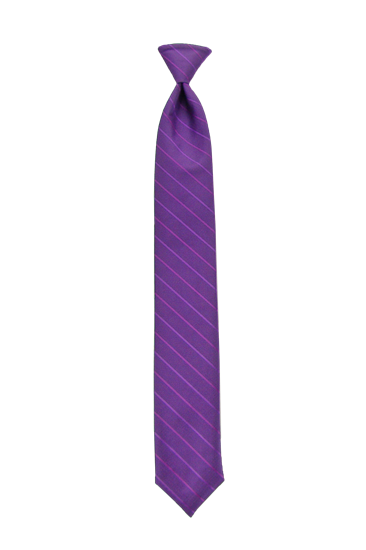 Picture of Modern Solid Aster Windsor Tie