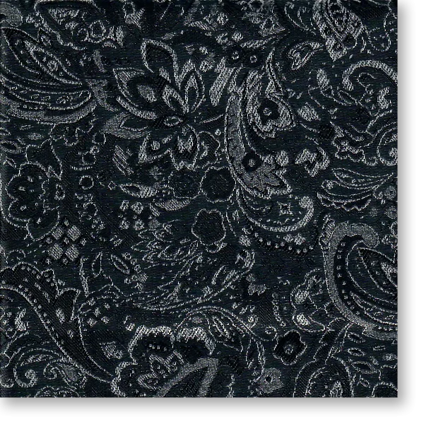 Black Silver Paisley